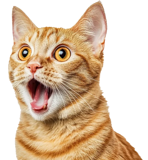 productoCat-banner-cat-hmpg