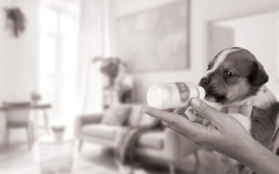 Nutritional products and accessories for neonates