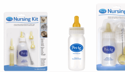 Nurser Bottle and Nipple Safety