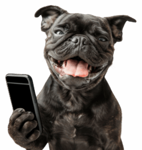 contactUs_phoneDog