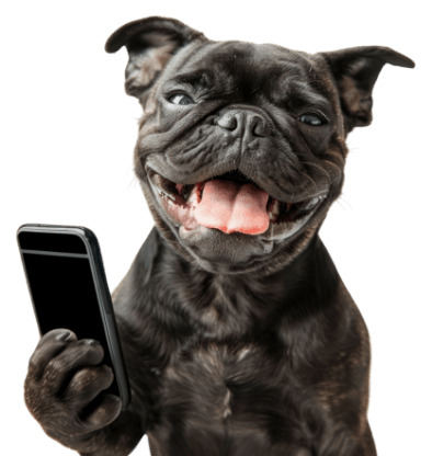 contactUs_phoneDog