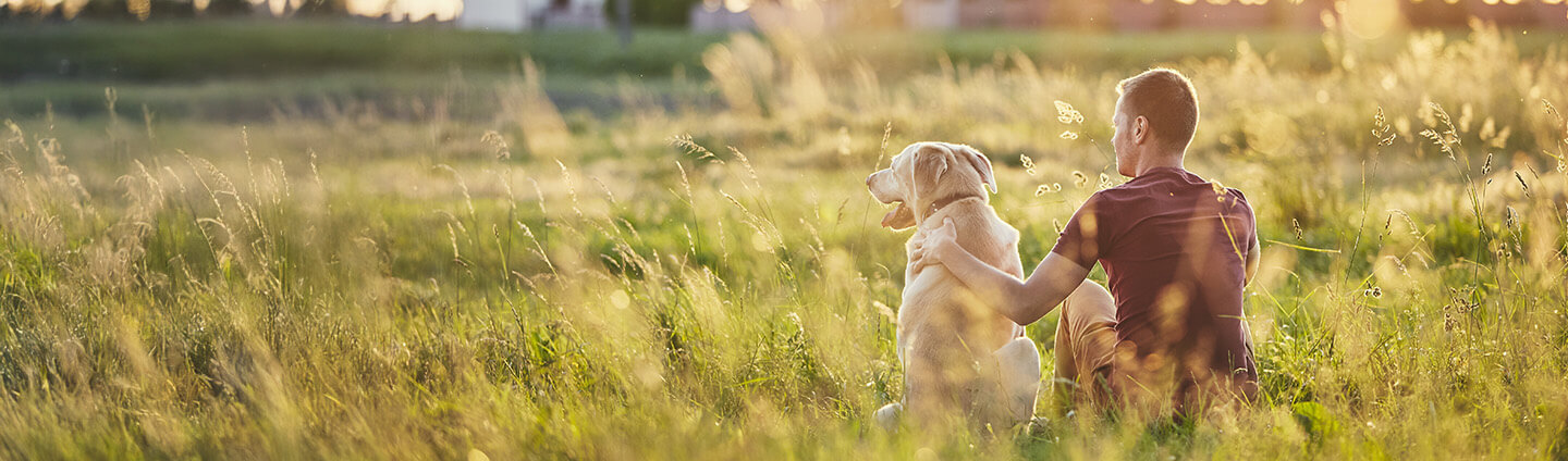 dogs-category-banner