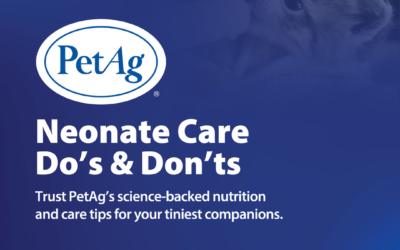 Productos nutricionales y accesorios para neonatos