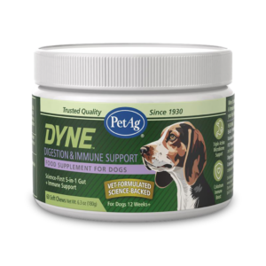 Dyne™ Digestion & Immune Support Soft Chews