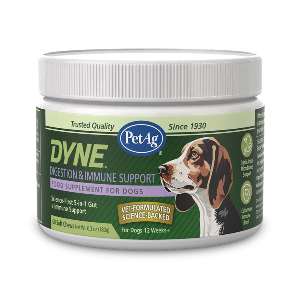 DYNE™ Digestion & Immune Support