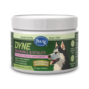 Dyne™ Endurance & Vitality Soft Chews