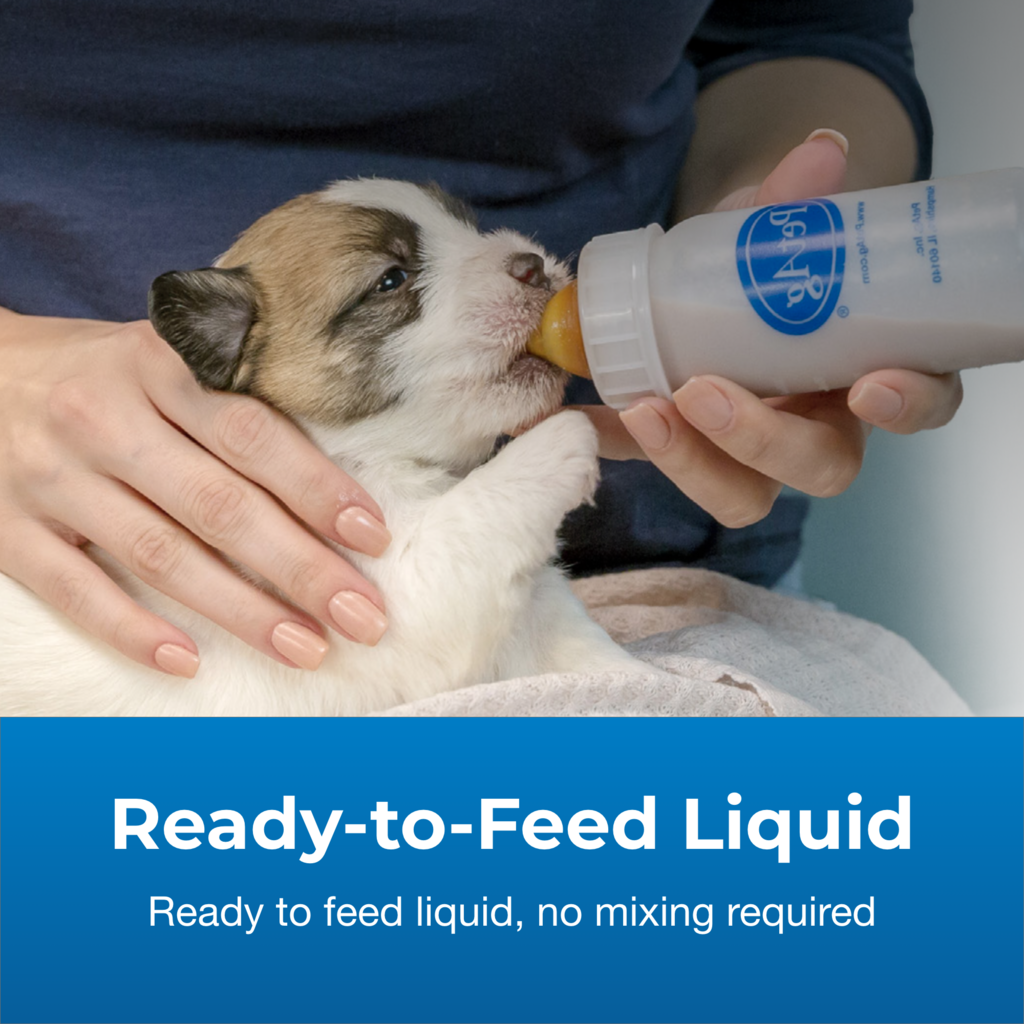 Ready-to-Feed Liquid