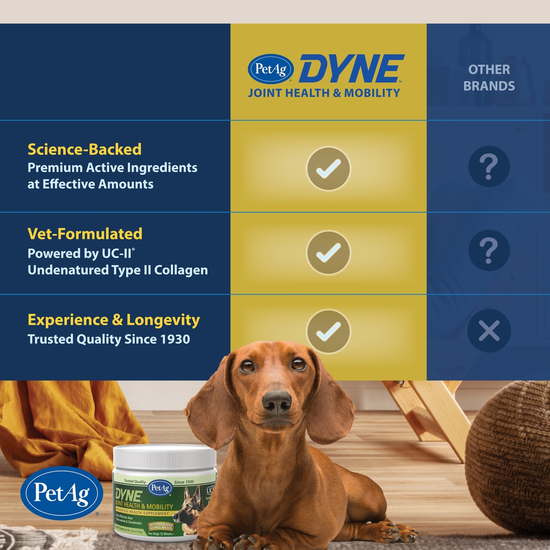 DYNE™ Joint Health & Mobility Comparison