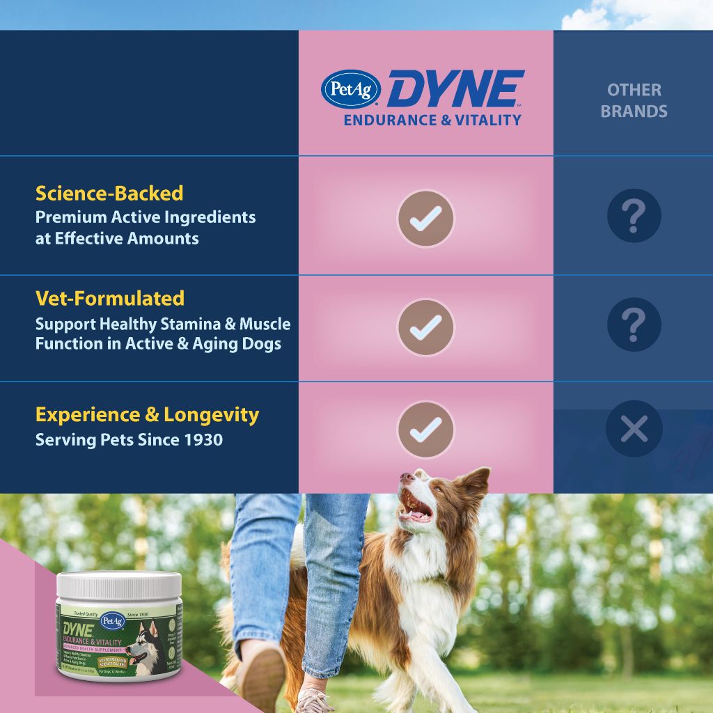 DYNE™ Endurance & Vitality Comparison