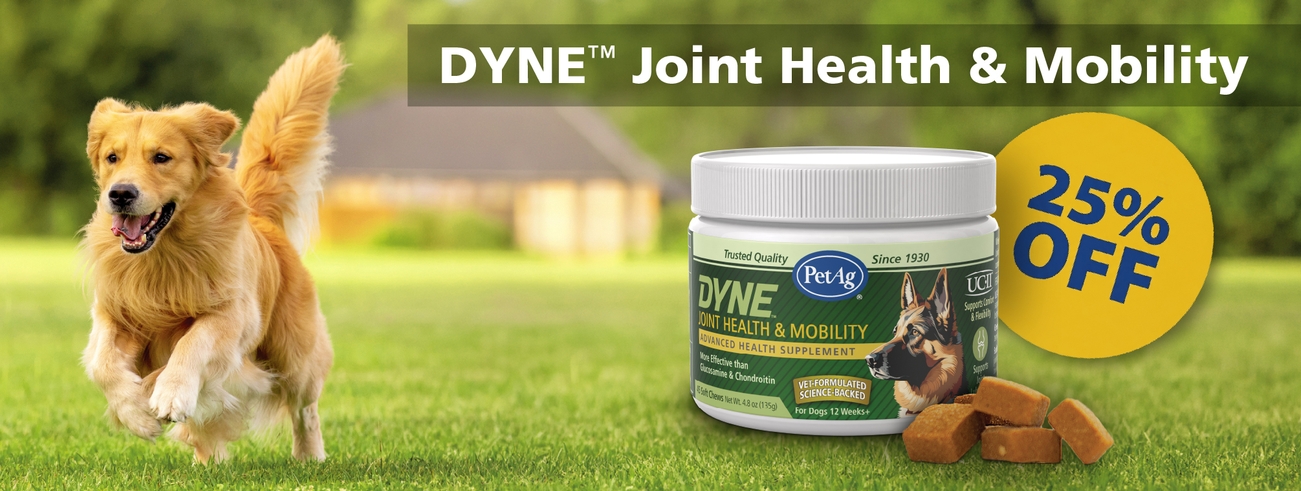 DYNE™ Masticables blandos para salud articular y movilidad DYNE™ Masticables blandos para salud articular y movilidad
