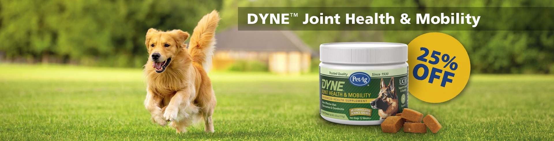 DYNE™ Masticables blandos para salud articular y movilidad DYNE™ Masticables blandos para salud articular y movilidad