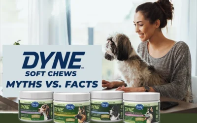 Dyne Soft Chews: Myths vs Facts