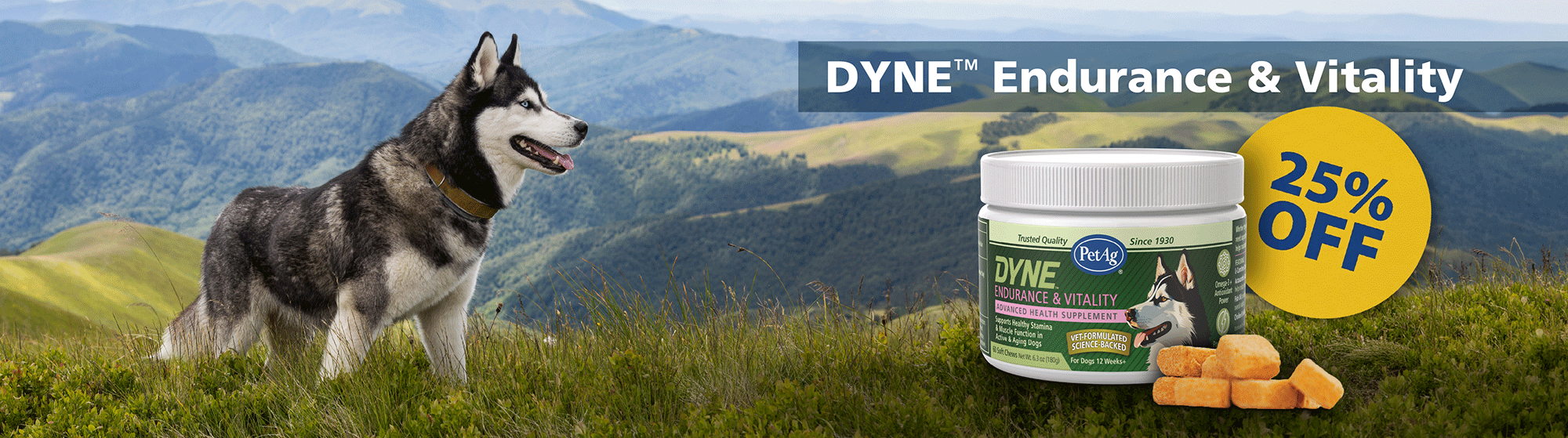 Dyne Endurance and Vitality soft chews for dogs